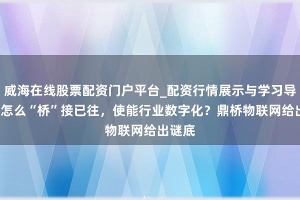 威海在线股票配资门户平台_配资行情展示与学习导航 5G怎么“桥”接已往，使能行业数字化？鼎桥物联网给出谜底