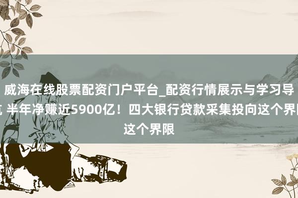 威海在线股票配资门户平台_配资行情展示与学习导航 半年净赚近5900亿!四大银行贷款采集投向这个界限