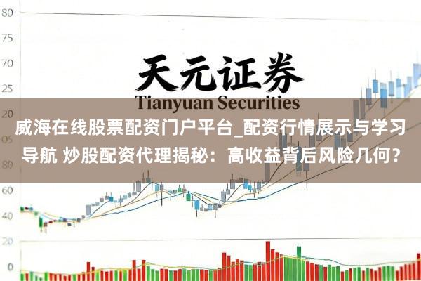 威海在线股票配资门户平台_配资行情展示与学习导航 炒股配资代理揭秘：高收益背后风险几何？